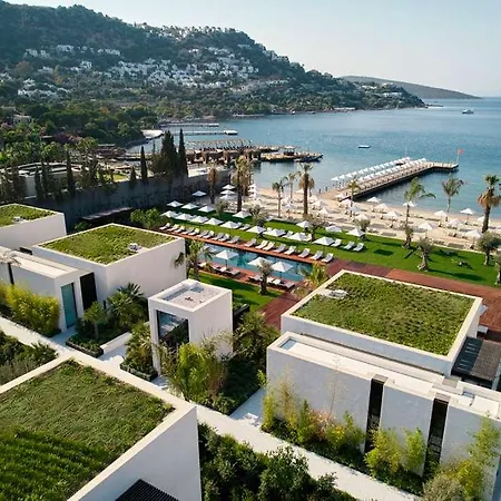 Cajab By Maxx Royal *