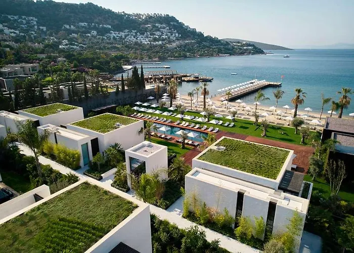 Cajab By Maxx Royal *